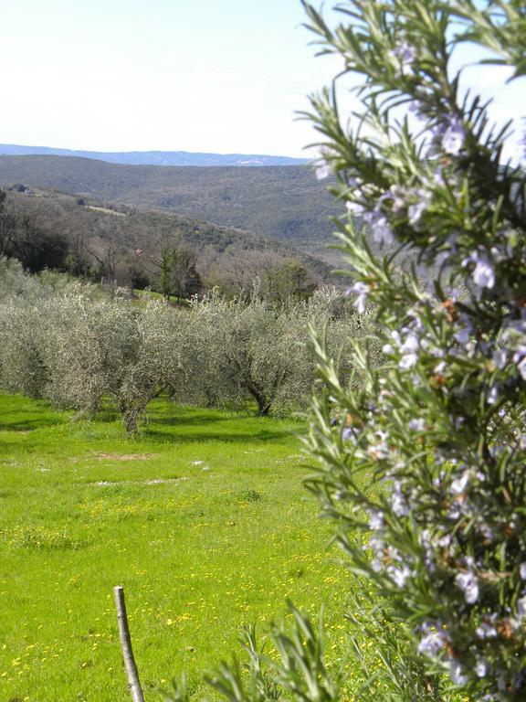Agriristoro Podere S. Andrea Massa Marittima Ngoại thất bức ảnh