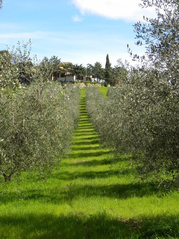 Agriristoro Podere S. Andrea Massa Marittima Ngoại thất bức ảnh