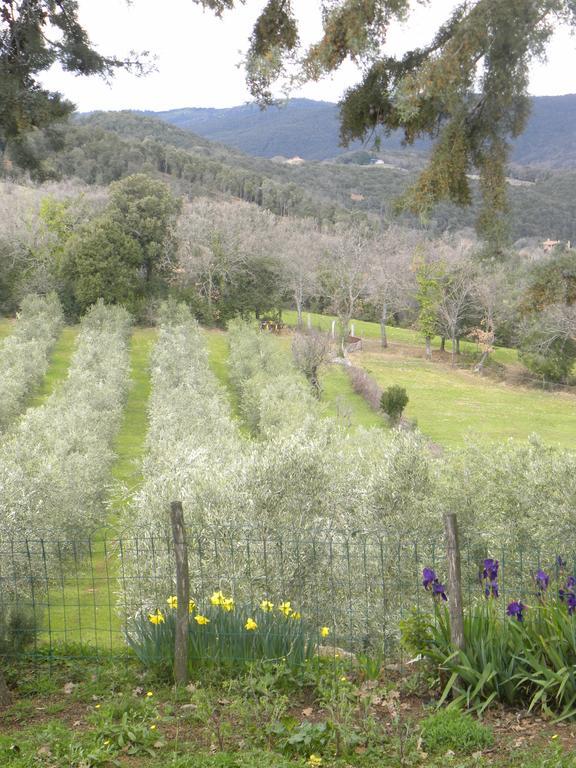Agriristoro Podere S. Andrea Massa Marittima Ngoại thất bức ảnh