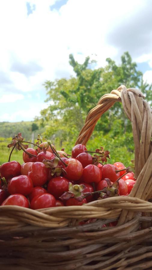 Agriristoro Podere S. Andrea Massa Marittima Ngoại thất bức ảnh